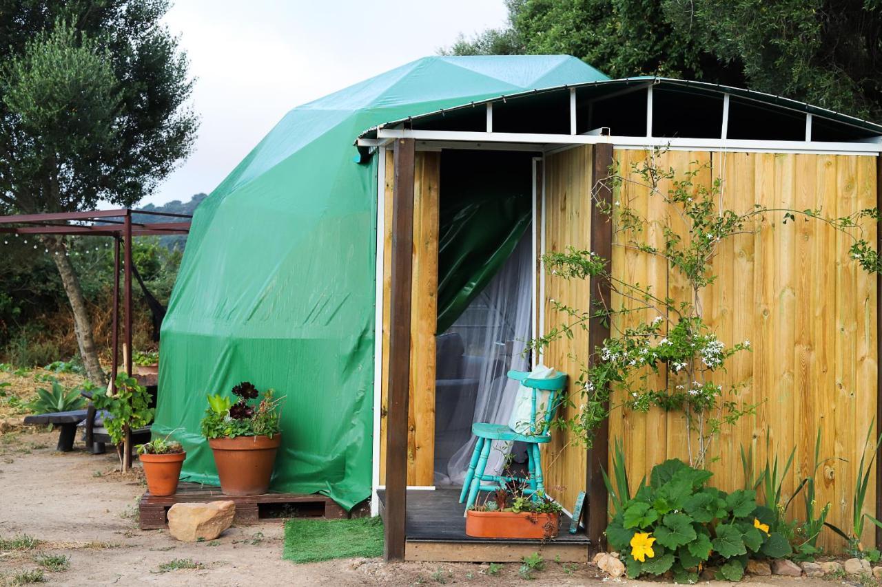 Campo de lujo Eco Spirit *