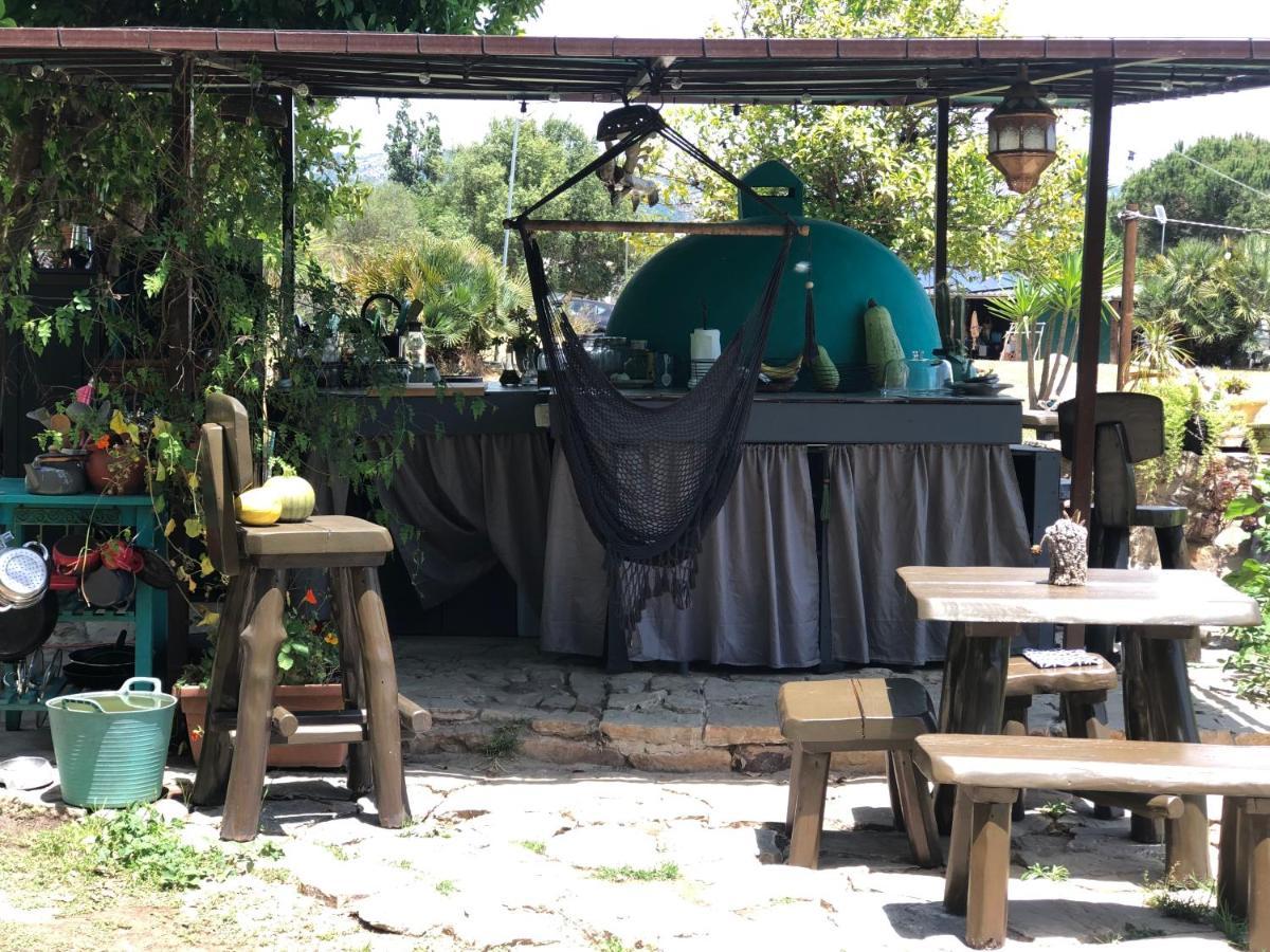 Eco Spirit Campo de lujo *