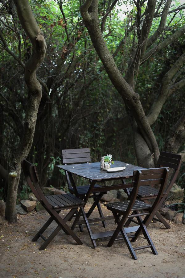 Glamping Eco Spirit