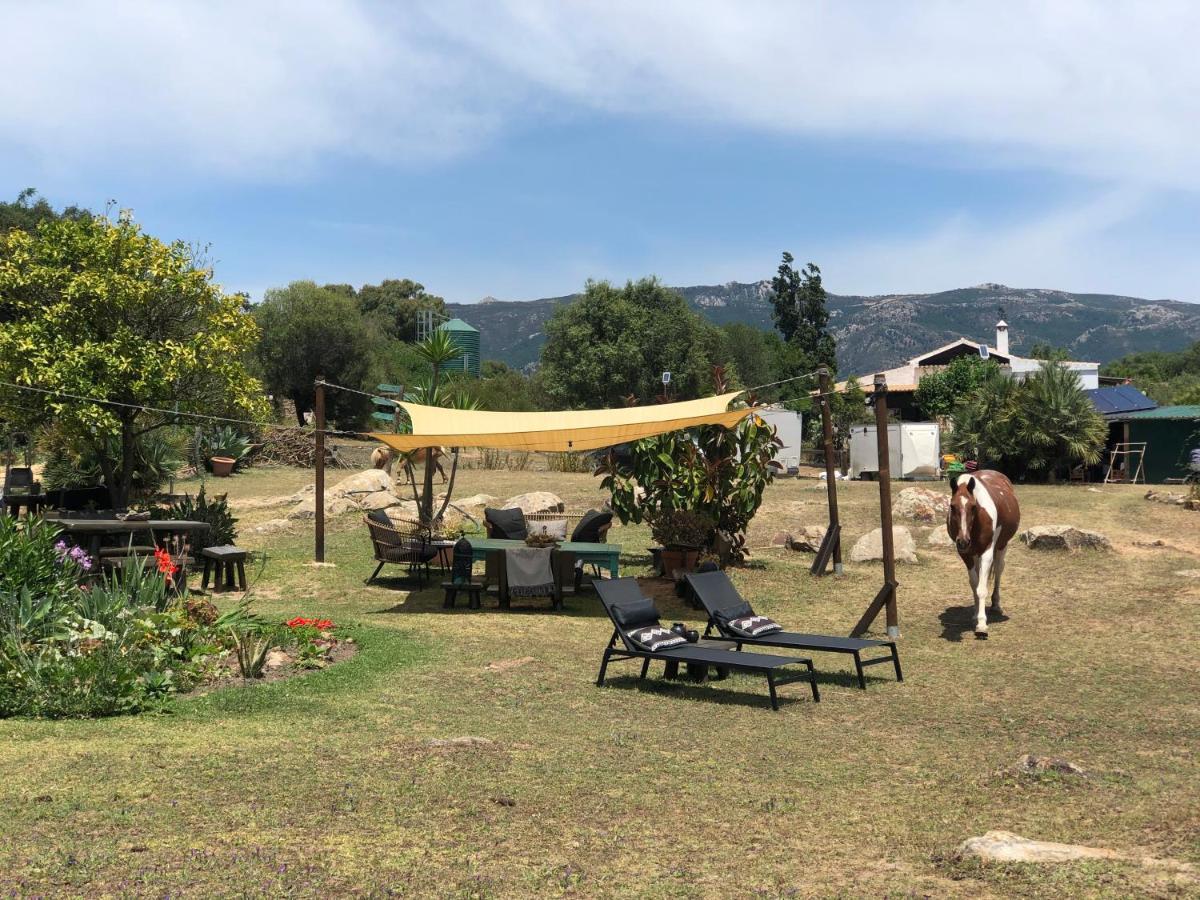 Eco Spirit Glamping
